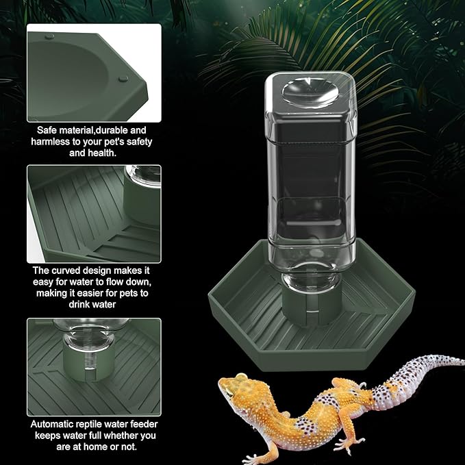 Reptile Water Dispenser-Bearded Dragon Water Bowl - Small Water Dish for Tortoise - Bowls for Reptiles & Amphibians (S)
