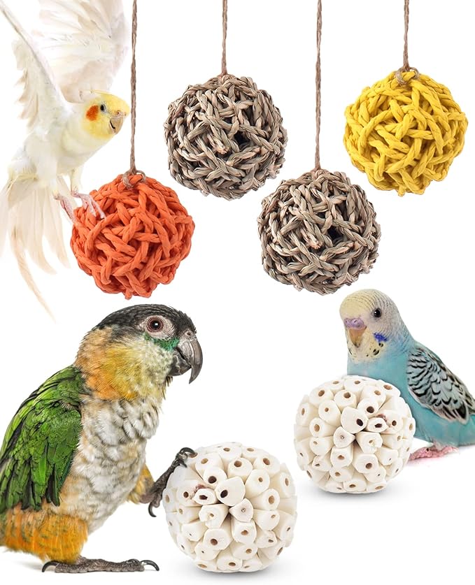 Bissap 6PCS Small Parrot Chew Toys, Sola Balls Conure Chewing Foraging Toys Colorful Bird Foot Balls for Cockatiels Cockatoos Parakeets Love Birds Small Parrot Cage Bite Toys