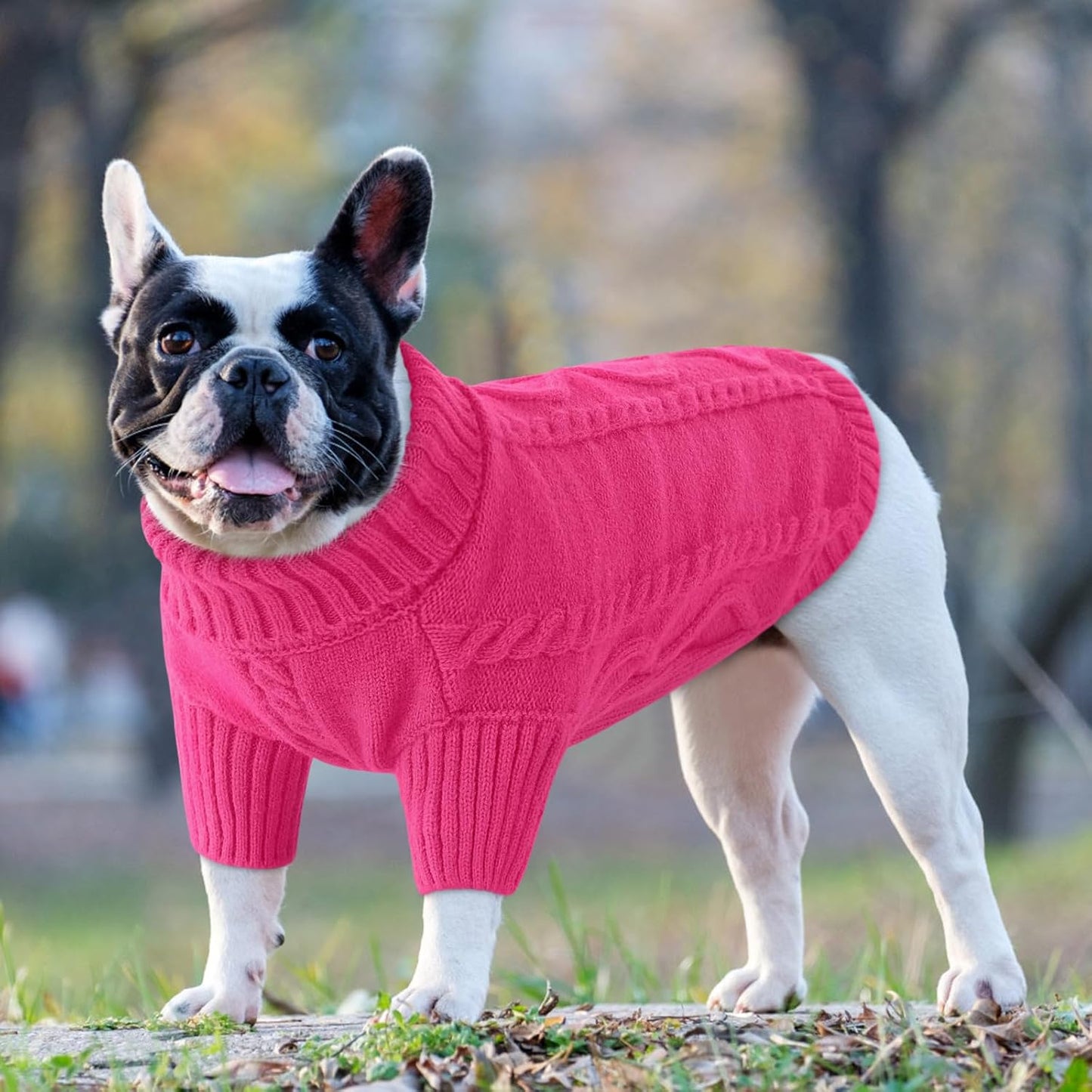 Queenmore Dog Sweater Large Size,Warm Dog Sweaters for Big Dogs,Chunky Knitted Doggy Sweater for Extra Large Dogs Boy Girl, Big Doggie Turtleneck Winter Outfit (Fuchsia,2XL)