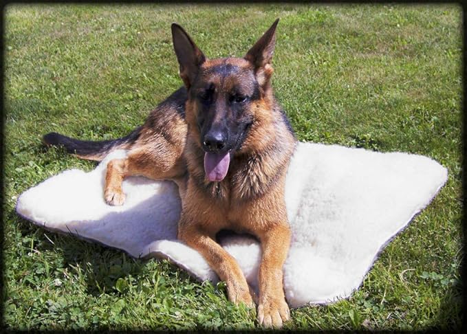 ActiveDogs Hi Loft Faux Lambskin Plush Sherpa Dog Bed - Medium 24"-36" - Orthopedic & Machine Washable - Double Layered