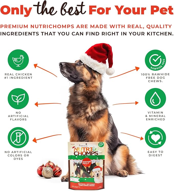 NutriChomps Dog Chews, 6 inch Braids, Mint Flavor, 4 count, Easy to Digest, Rawhide Free, Holiday Stocking Stuffer Treats, Christmas Gift for Dogs