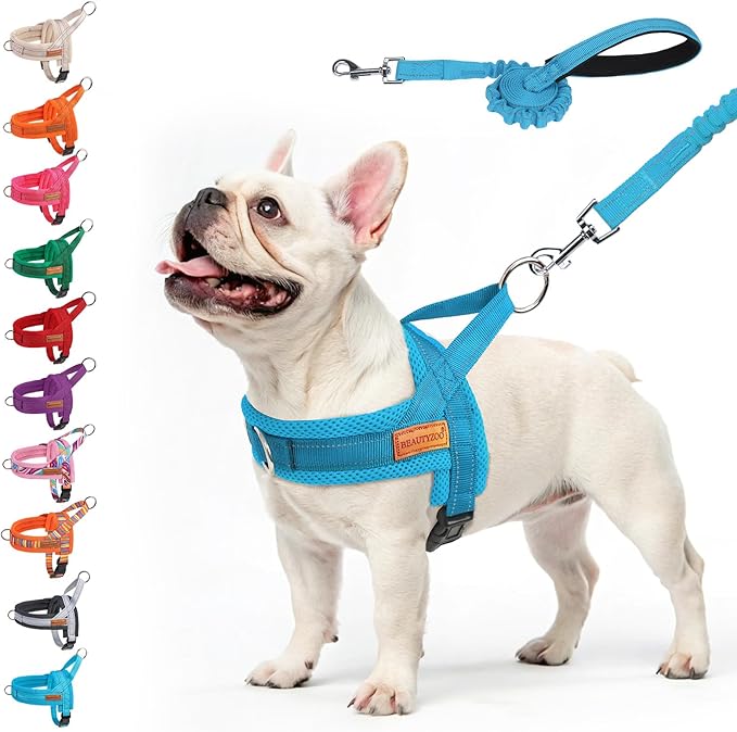 BEAUTYZOO Dog Harness for Small Dogs, No Pull Dog Harness and Leash Set, Soft Escape Proof Puppy Vest Harness with Handle, Reflective Lightweight Step in Harness for Girl Boy Dogs, Blue M