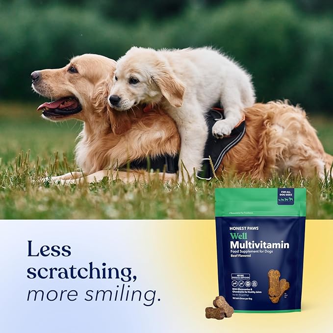 Honest Paws (90 Count) Dog Multivitamin Soft Chews with 10 Essential Vitamins - Joint, Coat, Immune, Eye & Heart Support - with Glucosamine, Chondroitin & Omega-3 - Beef Flavor