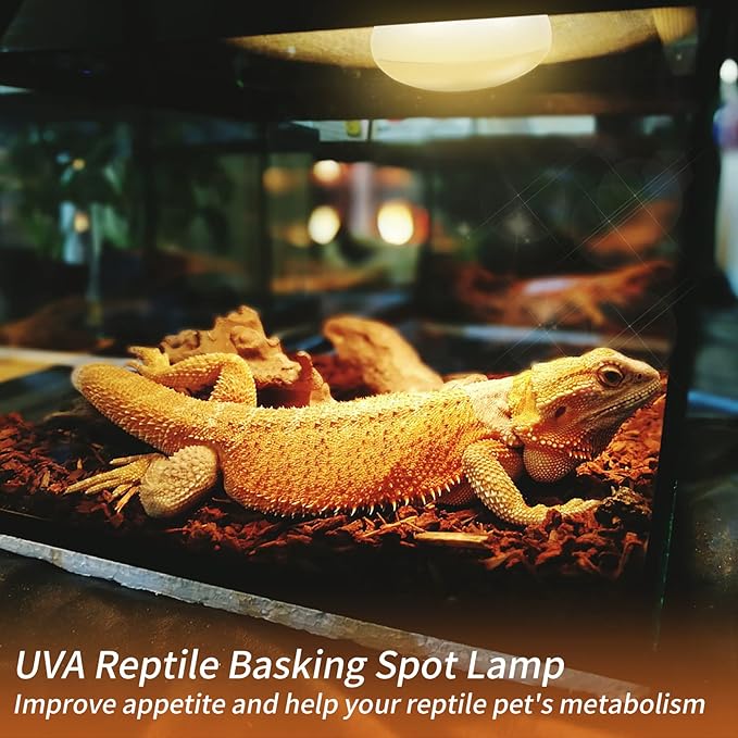 New Upgrade Reptile Heat Lamp Bulb (3rd Gen No Broken), 50W 2 Pack Basking Spot Light for Reptiles & Amphibians,UVA Daylight Heat Bulb for Bearded Dragon, Turtle