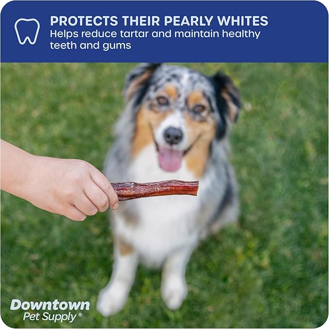 Downtown Pet Supply USA Sourced Bully Sticks for Dogs - Grass-fed Beef Chews, Low-Odor & Rawhide-Free, Long Lasting Dog Treats - Healthy, Safe & Delicious Chews (12" 10 Pack)