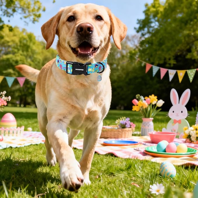DOGWONG Easter Dog Collar, Cute Easter Egg Pet Collar Durable Holiday Girl Boy Adjustable Cotton Dog Collars with Quick Release Buckle for Puppy Medium Large Dogs,L Visit the Elegant little tail Store