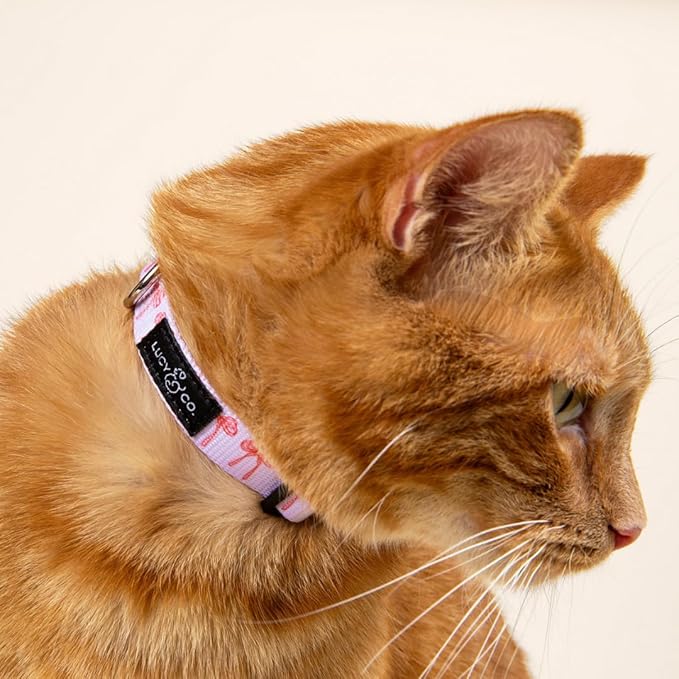 Lucy & Co. Take a Bow Breakaway Cat Collar with Bell – Designer Print Adjustable Safety Collar for Cats, Kittens & Small Dogs, Lightweight Pet Collar for Boy & Girl Cats -Large