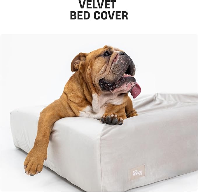 DF Co. Velvet Easy Fit Dog Bed Cover | Velvet Lining for Ultimate Comfort, Protect Original Bed, Machine Washable, Elastic Design, Allergy Management (Beige, S)