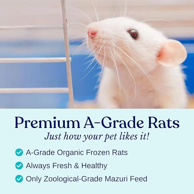 MiceDirect Frozen Rat Pups Snake Food - Frozen Rats for Snakes like Juvenile Ball Pythons, Adult Corn & Ball Pythons, Sub-Adult Red Tail Boas, Monitor, Lizards, Birds of Prey - 2.5-3.5 in (10 Count)