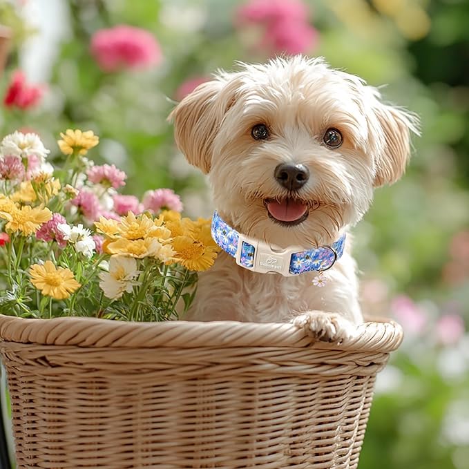 Floral Dog Collar for Large Dogs - Cute Spring Dog Collars, Soft Lightweight Bee & Daisy Puppy Collar, Breathable Adjustable Male Female Blue Wildflowers Dogs Collars XL