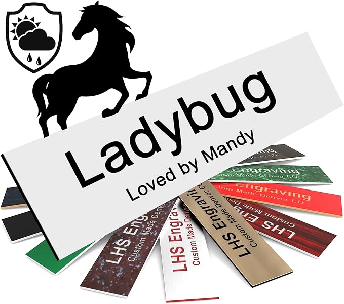 Personalized Horse Stall Name Plates, 2x8 Horse Stall Signs with Adhesive, All Weather UV Protected, White Plastic Black Letters - Made in USA - B16