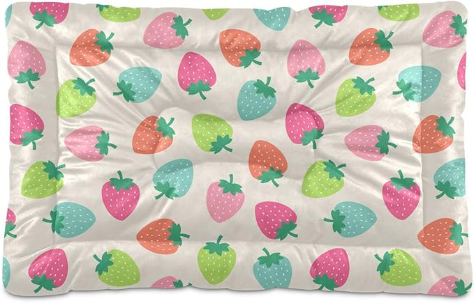 Strawberry Fruits Pet Bed Cute Dog Bed Mat Absorbing Non Slip Pad Pet Sleeping Mat for Small, Medium, and Large Dogs Puppy Cat 24 in x 18 in
