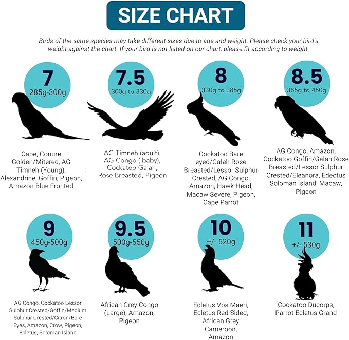 Bev's Bird Boutique Regular Flyper Adjustable Bird Diaper | Reusable, Washable Cloth | Comfort Fit for Parrot, Cockatiels, & Other Small Birds | Fashionable Avian Accessories, Navy & Red, Size 8