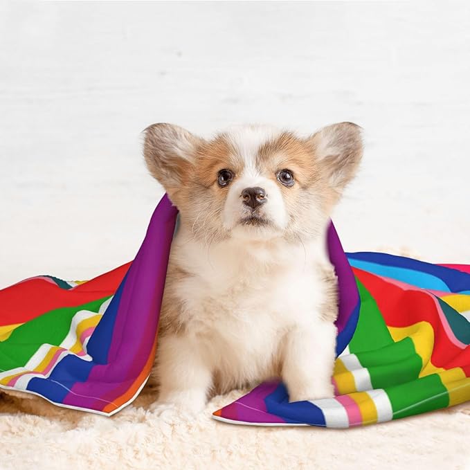 Reversible Plush Throw for Dogs and Cats, Novel Colorful Mexican Blanket Stripes, Double Sided Blanket with Nubby Dot Side and Sleek Side Ideal for Cuddling Nesting Security