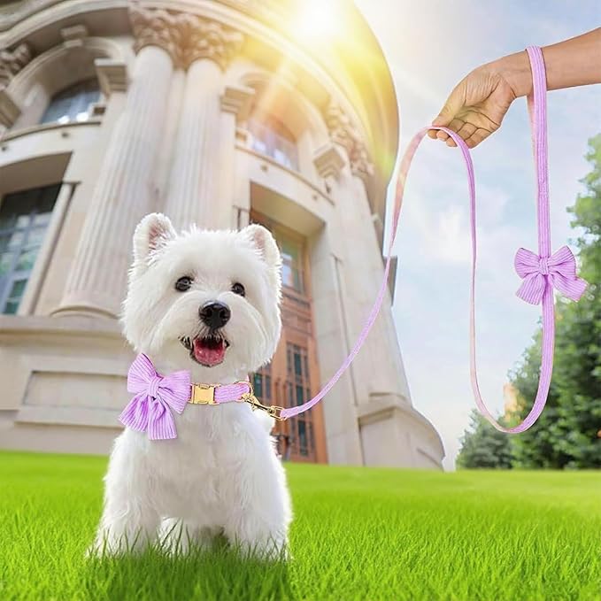 Dog Collar and Leash Set with Bowtie, Girl Dog Collars Metal Buckle Adjustable for Small Medium Dogs (Purple, S: Neck 10"-16" Leash 5 FT)