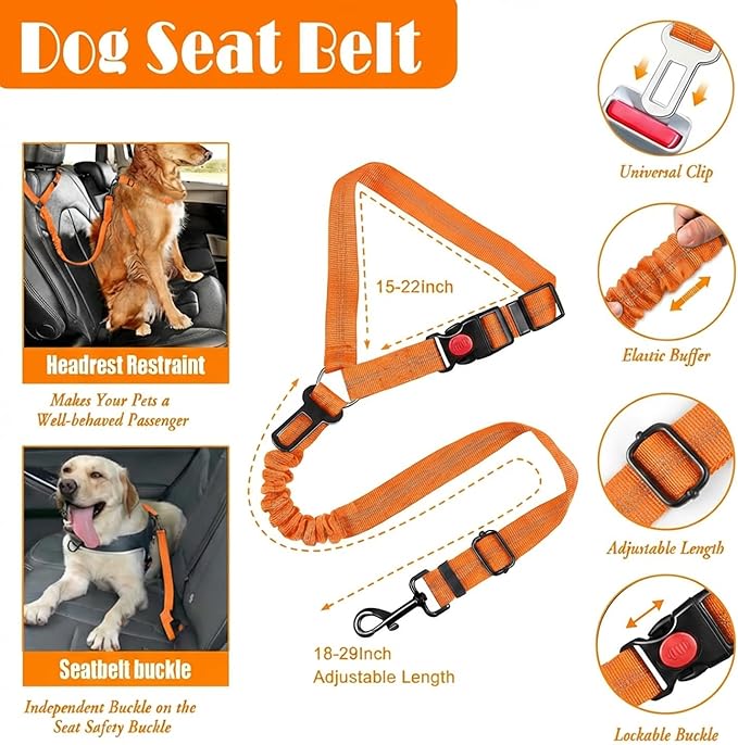 No Pull Dog Harness, Collar & Leash Set | Includes Dog Seat Belt, Collapsible Bowls & Poop Bag Dispenser. Ideal for Training, Walking, Hiking. Fits Small to Large Dogs(Orange-XL)