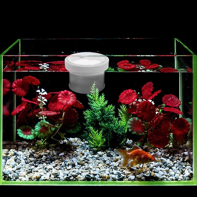 Box Fish Tank Box Fish Separator Spawning Incubator Aquarium Breeding Tank Aquarium Incubator Betta Tank Floating White Acrylic Small