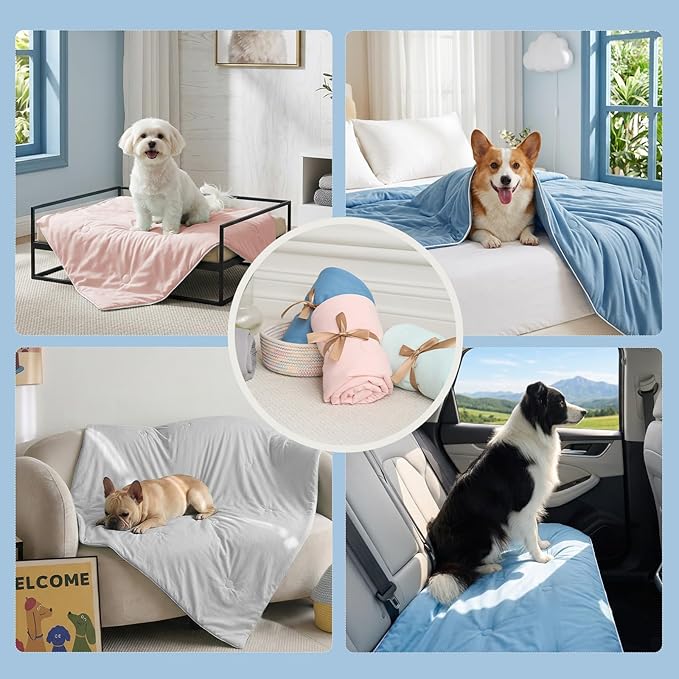 Soulbond Cooling Blanket for Large Dogs - Q-MAX>0.45, Washable Cool Pet Cats Throw Blanket for Hot Weather, Self-Cooling Soft Dog Mat for Bed Crates Couch Sofa Cars(40"x50", Aqua Green)