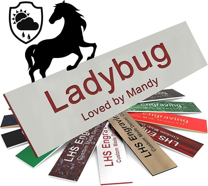 Horse Stall Name Plate, 2x8 Personalized Stall Signs, UV Protected, All Weather Adhesive, Hanging, Mounting or Other, Gray Plastic with Maroon Letters - Made in USA - B21