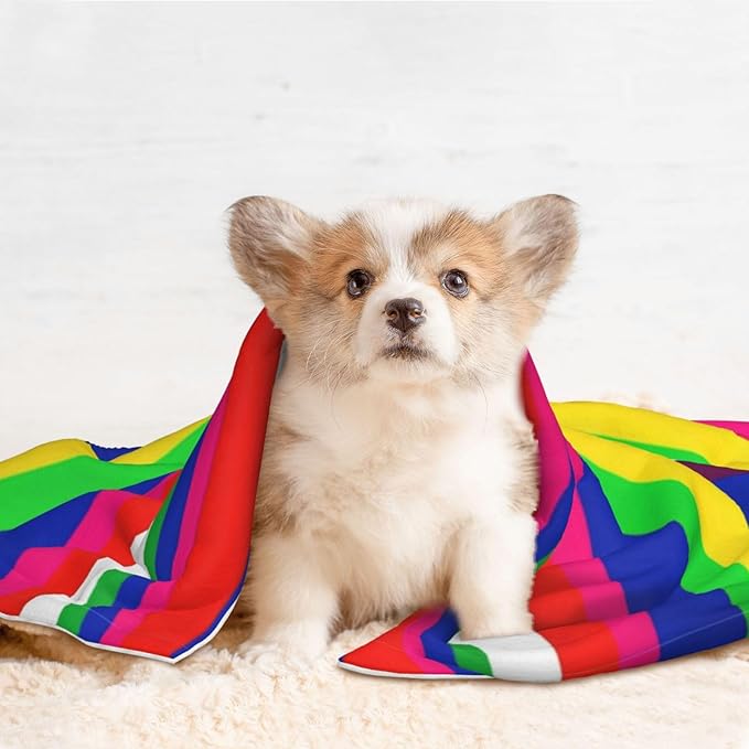 Double Sided Plush Pet Blanket with Cozy Dot Texture and Smooth Reverse, Novel Colorful Mexican Blanket Stripes, Reversible Throw for Dogs Cats on Couches Beds Crates