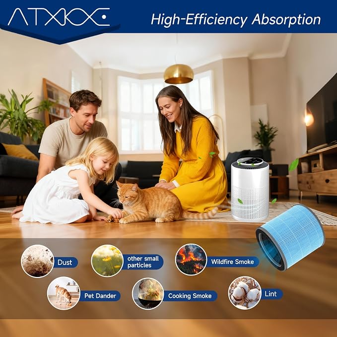 AP070B Replacement Filter Compatible