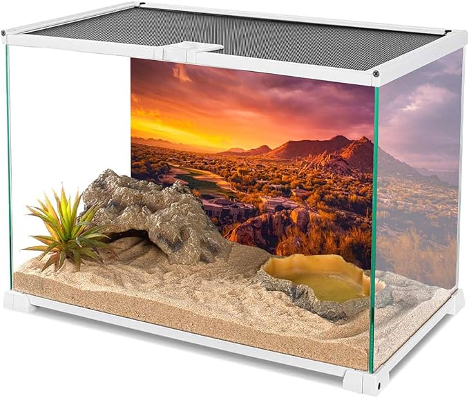 AWERT 36x18 inches Sun and Desert Terrarium Background Mountain Oasis Gobi Reptile Habitat Background Polyester Fish Tank Background
