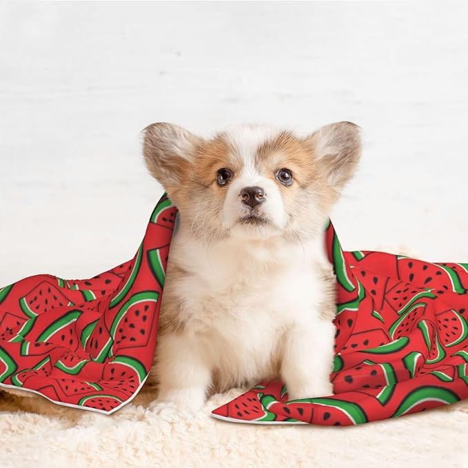 Pet Blanket for Travel and Home, Summer Fruit Red Green Watermelon, Reversible Plush Dot Design with Soft Grip Texture on One Side Perfect for Car Seats Moving Vehicles