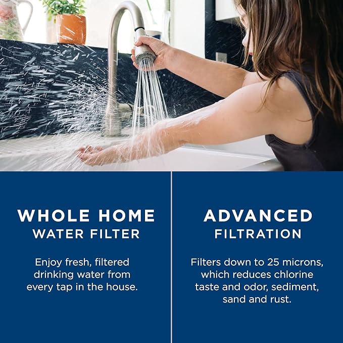 GE FXHTC Whole House Water Filter | Replacement