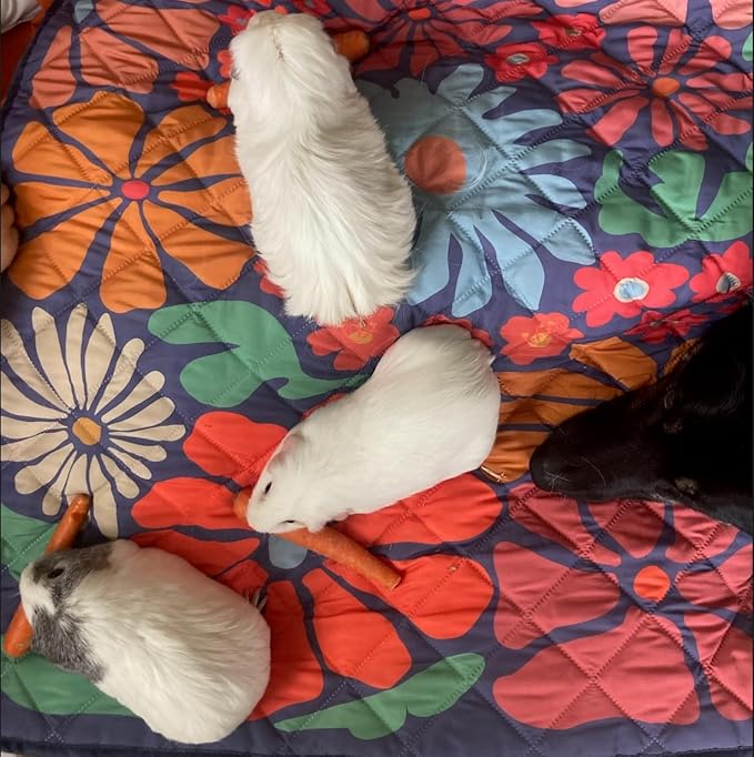 Waterproof Blanket, 29" x 34” - Seat Cover for Dogs and Pets. Ideal for Small and Medium Pet Crate Blankets, Settle mat, Diaper Changing and Playmat for Babies