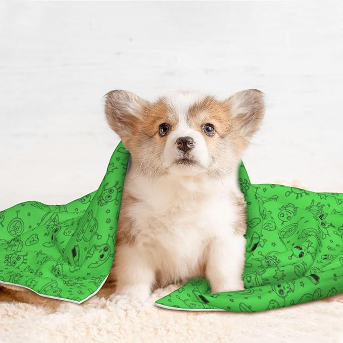 Reversible Dog Blanket for Beds Couches, Funny Aliens Dinosaurs Sasquatch, Double Sided Cat Blanket with Textured Dot Feel and Smooth Feel for Seasonal Comfort All Year