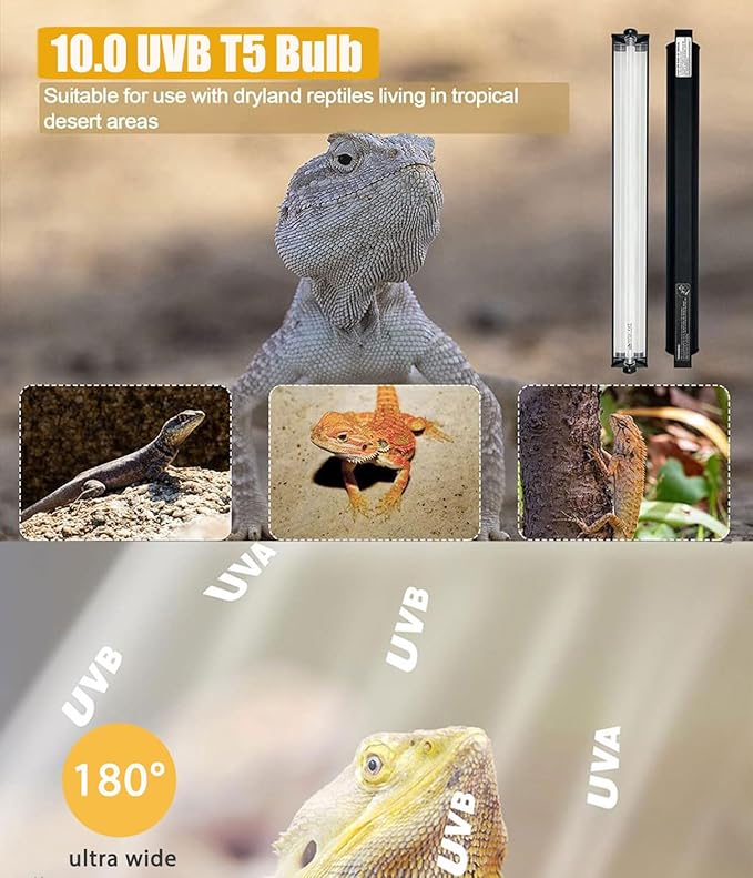 24W T5 UVB Reptile Light Fixture Combo Kit – 10.0 UVB Fluorescent Tube for Bearded Dragons, Lizards & Tortoises – UVA UVB Reptile Light, 22" Terrarium Hood (UVB 10.0-Desert, 22INCH-24W)