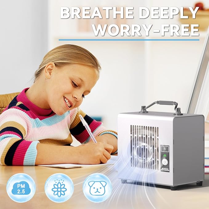 Portable Ionic Air Purifier, Hassle-Free Design, Type-C Rechargeable, 6-Hour