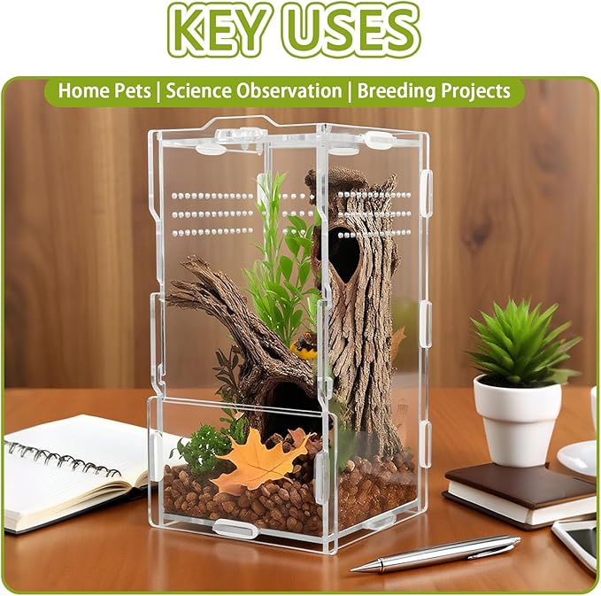 4x4x8 Inch Acrylic Reptile Terrarium，Front Opening Tarantula Enclosure with Swivel Lock & Magnetic Feeding Door，Small Spider Cage for Jumping Spider、Scorpion、Isopods、Snails