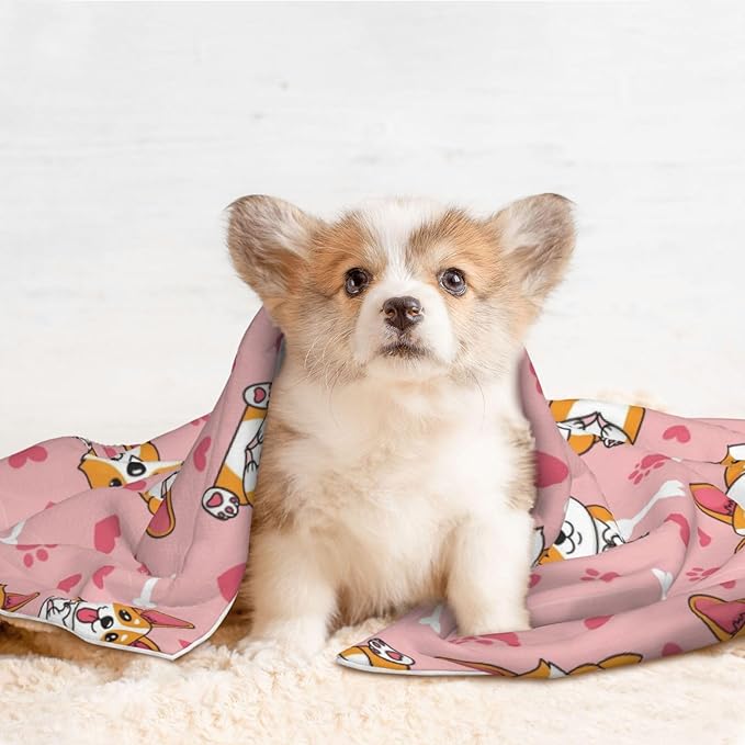 Reversible Dog Blanket for Beds Couches, Cute Happy Corgi Dog, Double Sided Cat Blanket with Textured Dot Feel and Smooth Feel for Seasonal Comfort All Year