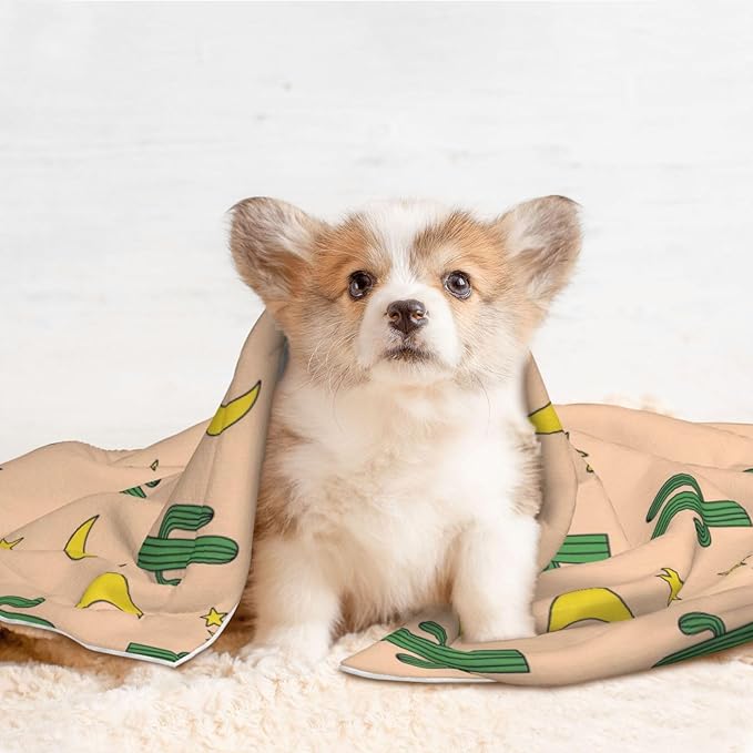 Double Sided Pet Mat for Dog Bed Topper Cat Blanket Furniture Protector, Cactuses Moon, Reversible Plush with Tactile Dot Pattern for Style Change