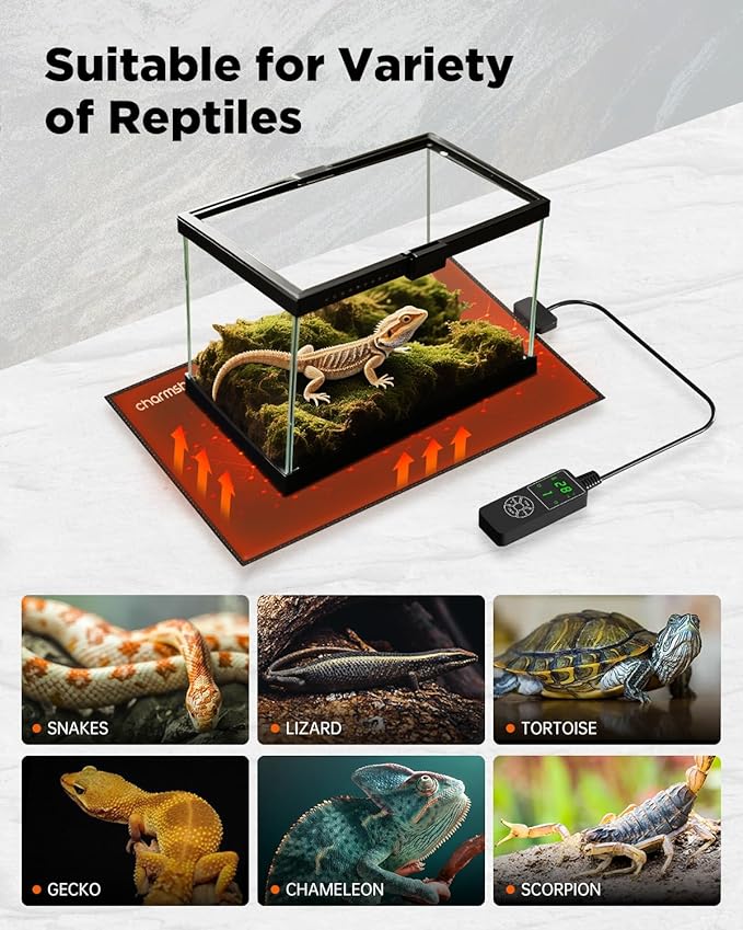 8 by 18-inch 25W Reptile Heating Pad Graphene with Temperature Control Reptile Tank Heat Pad Terrarium Under Tank Heater Mat for Snake Lizard Hermit Crab Reptiles Turtle Thermostat
