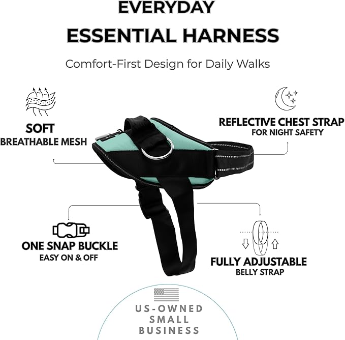 ShawnCo Essential Dog Harness, No-Pull Pet Vest with 3 Leash Clips, No Choke, Reflective, Adjustable and Padded, for Easy Walking and Training for Small, Medium and Large Dogs (Seafoam, L)
