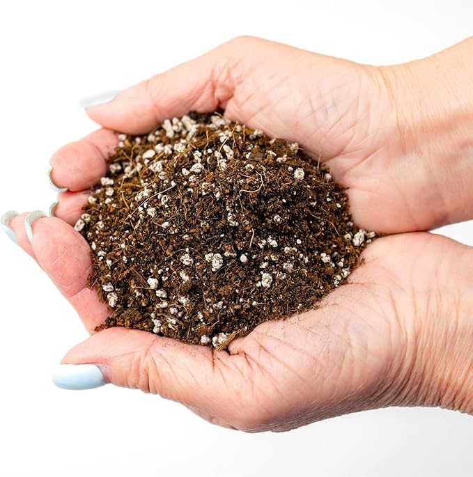 Gardenera Professional Carnivorous Plant Soil - Ready to Use for Venus Flytraps, Sundews, Pitcher Plants, Butterworts | Peat Moss, Coco Coir, Perlite - 5 Quart Bag