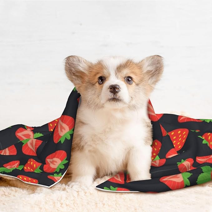 Pet Blanket for Travel and Home, Cute Red Strawberry Pattern Black, Reversible Plush Dot Design with Soft Grip Texture on One Side Perfect for Car Seats Moving Vehicles