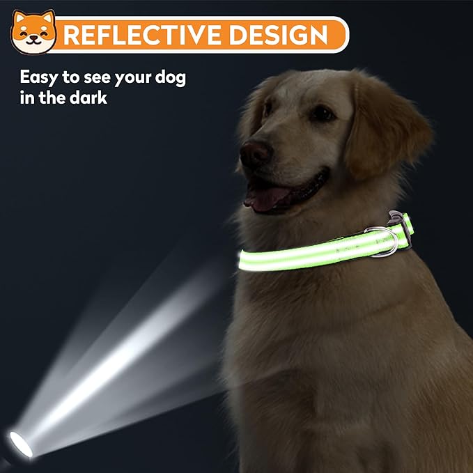Reflective Dog Collar, Adjustable Soft Neoprene Padded Nylon Pet Collars with Buckle for Small Dogs, Green,S