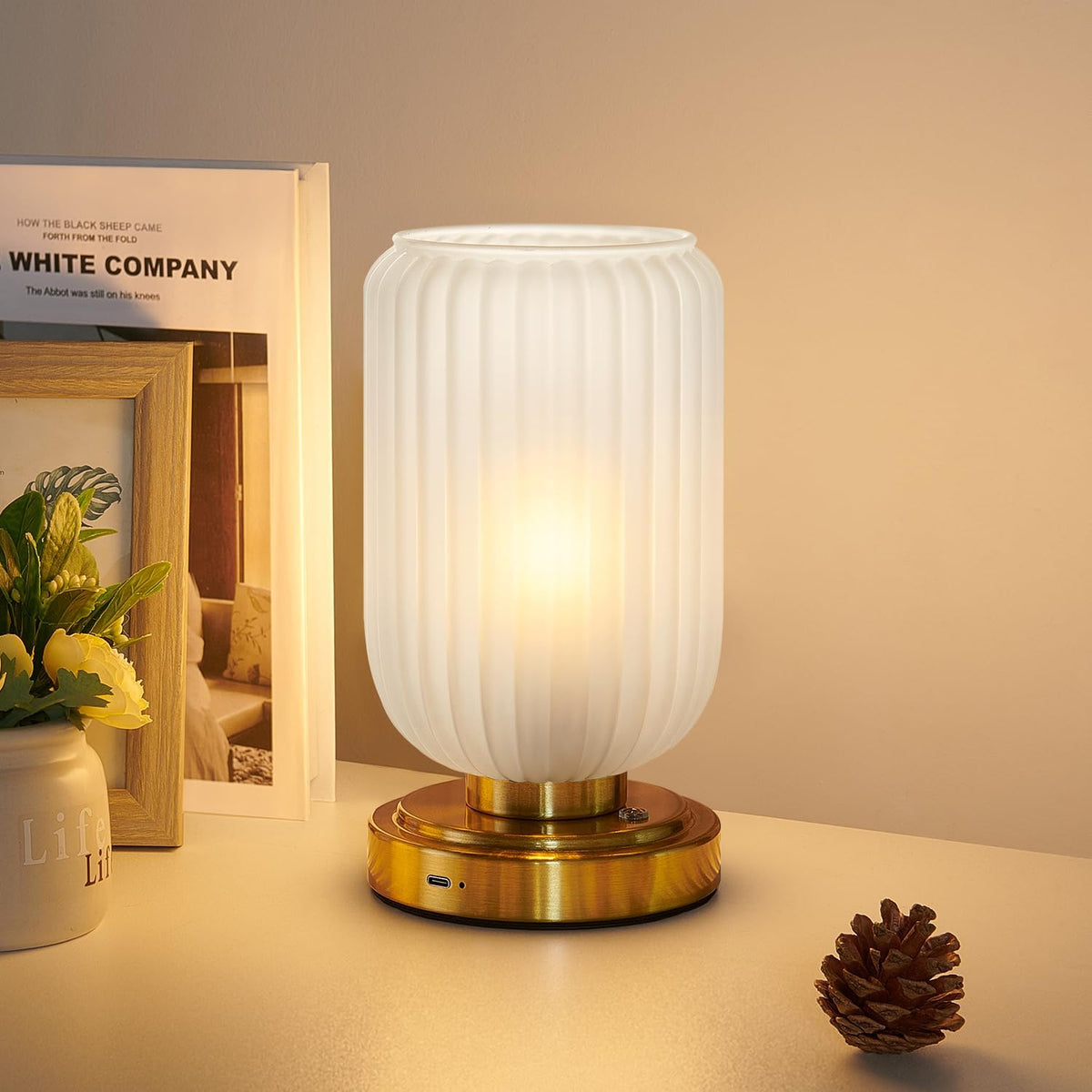 LightRound Cordless Table Lamp for Bedroom, Touch Stepless Dimmable