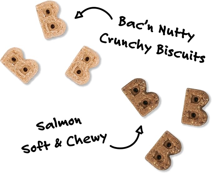 Bocce's Bakery Salmon Cookie + Bac’n Nutty Biscuit Dog Treat Bundle – Natural, Wheat-Free Biscuits and Soft & Chewy Cookies Made with Real Ingredients and Baked in The USA – 2 Pack Bundle