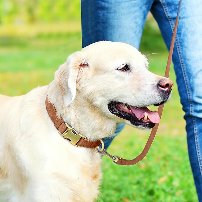 Genuine Leather Dog Collar - Adjustable Pet Collar with Quick Release Metal Buckle, Soft Skin Friendly Real Leather Collar for Small, Medium, Large Dogs (Khaki Collar + Rope, S：Fit 8-16" Neck)