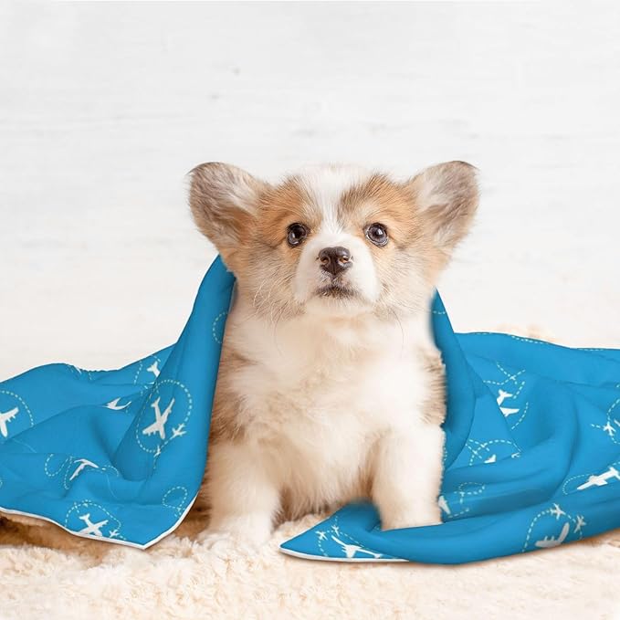 Pet Blanket for Indoor Outdoor Use, Aircraft Airplane Pattern Navy Blue, Two Sided Reversible Plush Mat with Bumpy Dot Texture for Patios Crates Portable Bed Companion