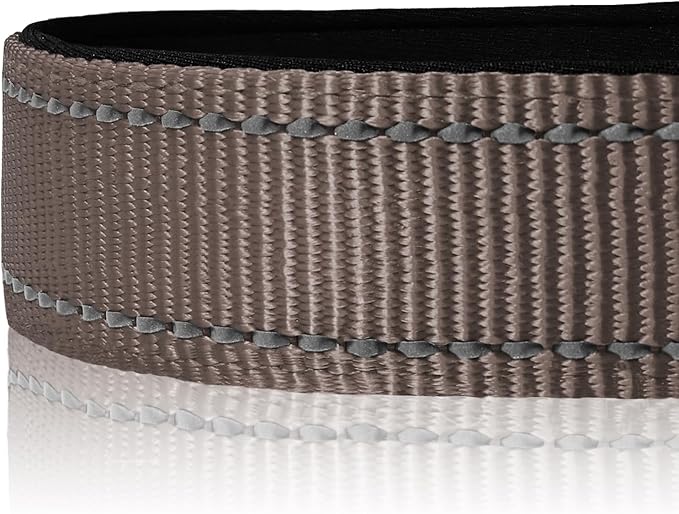 Joytale Reflective Dog Collar, Soft Neoprene Padded, Metal D-Ring, Nylon Pet Collar Adjustable for Large Dogs, Brown, Large