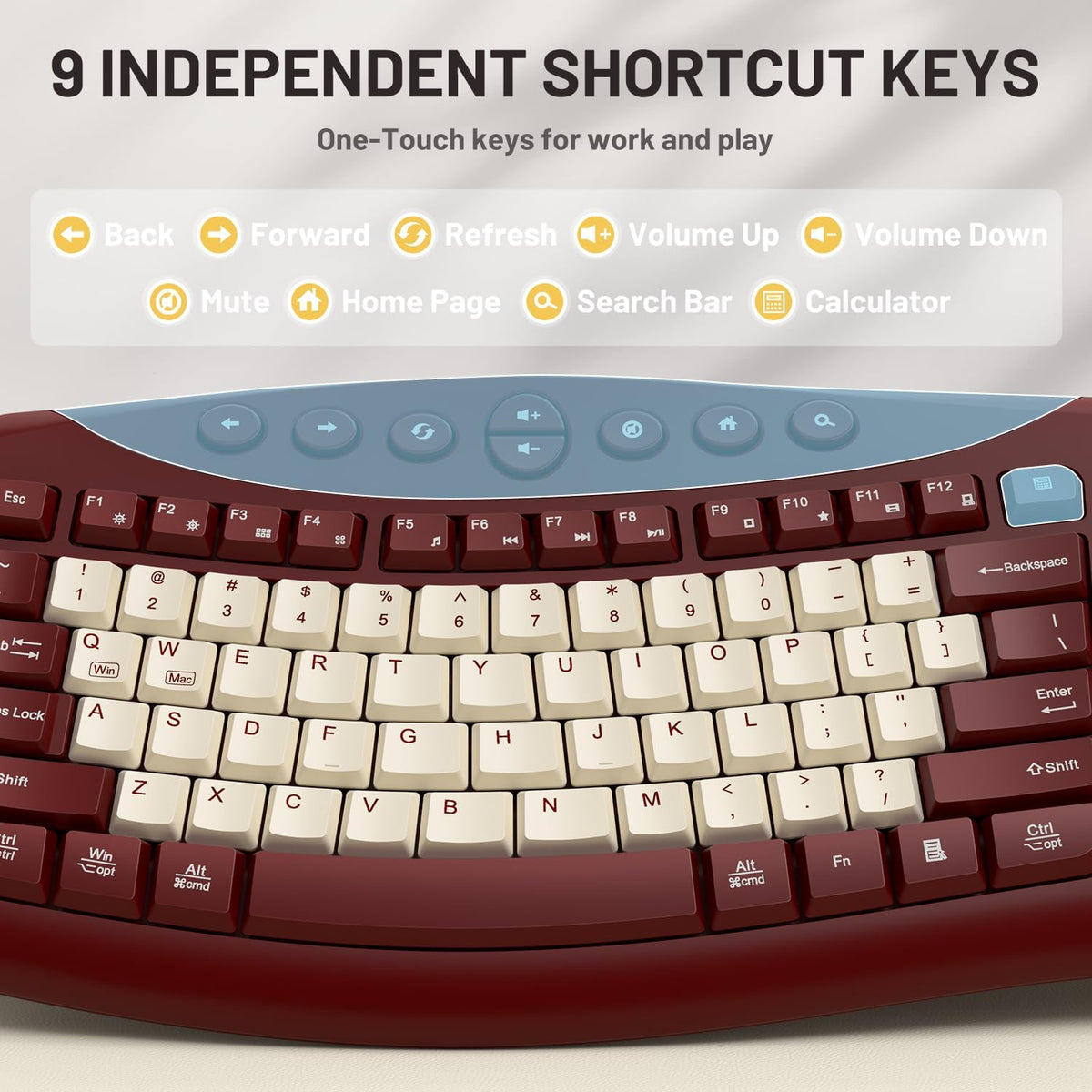 Wireless Keyboard and Mouse Combo Silent Ergonomic Curved Design for Office