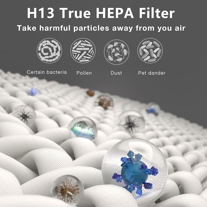 2 Pack PR1 Replacement Filter, Compatible