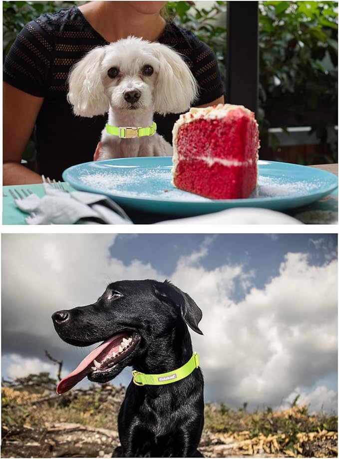 Nylon Dog Collar - Adjustable Fluorescent Green Soft Webbing Dog Collars for Small Medium Large Dogs Boy Girl Puppy Collar with Safety Metal Buckle L