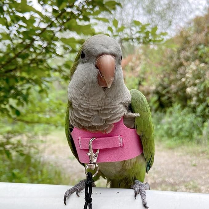 Bird Flight Harness Vest, Parrot Flight Suit with Leash for Parakeets Cockatiels Conures Budgies, Bird Flying Clothes with Rope and Handle for Outdoor Activities Training (S, Pink)