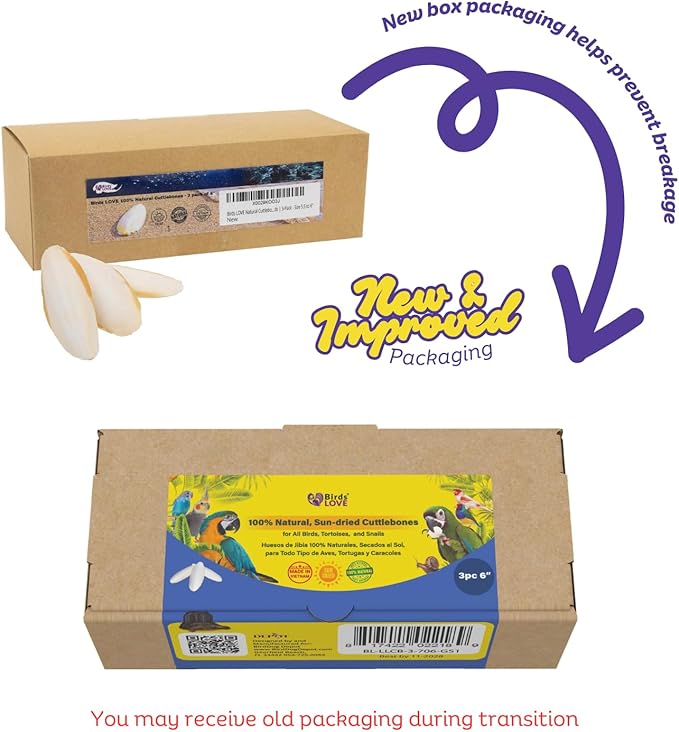 Birds LOVE Natural Cuttlebone for Birds & Reptiles – 100% Pure Sun-Dried Calcium Supplement – Supports Beak, Bone & Shell Strength – Daily Use - 3 Pack with Holder, Size 5.5 to 6"
